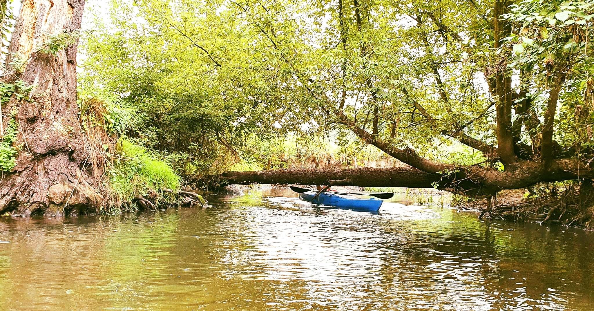 spływy kajakowe nadarzyn