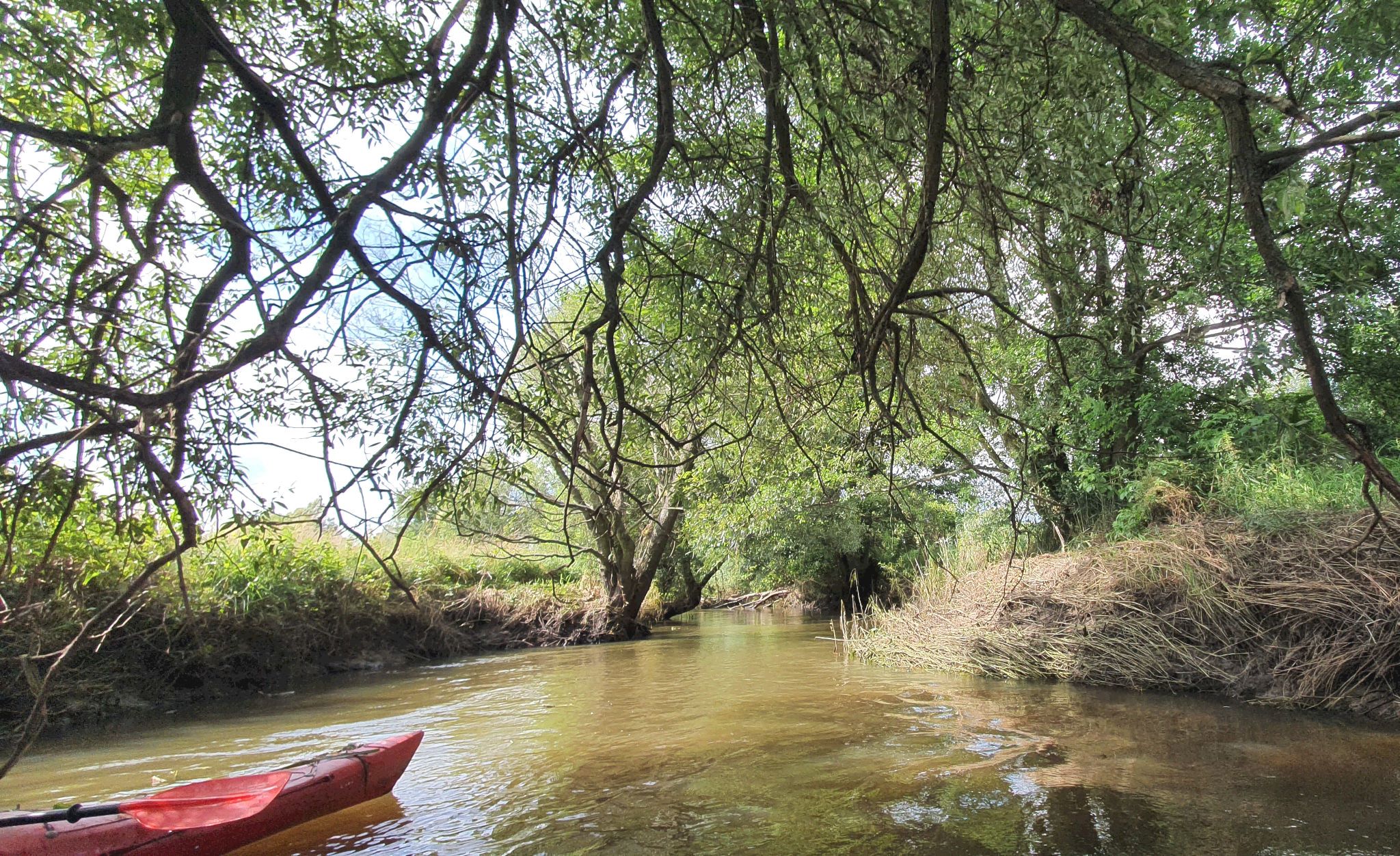 kajaki warszawa i okolice